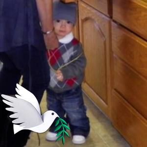 Meet your Posher, Phyllis